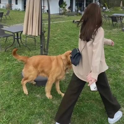 真爱背后